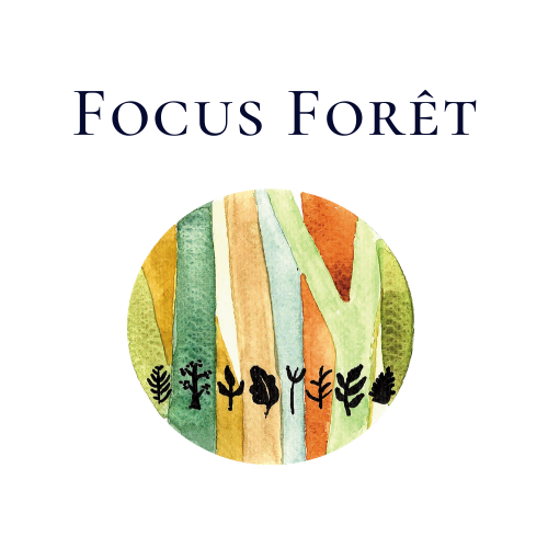 Focus Forêt