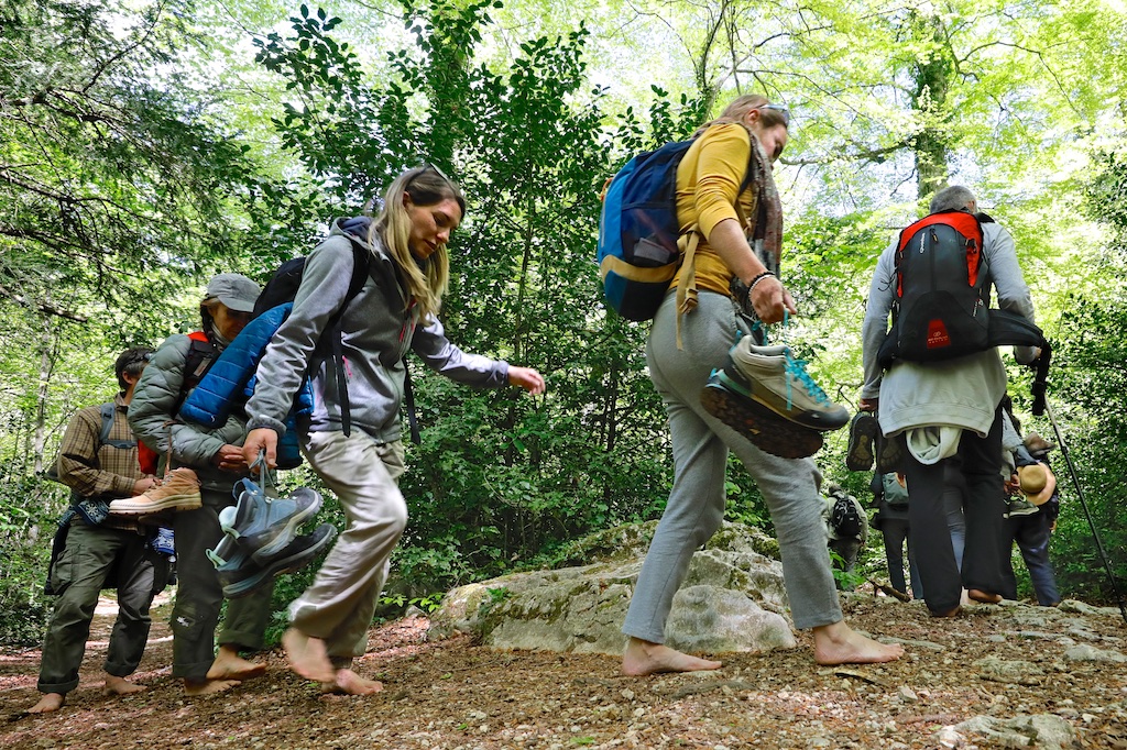 Marche-pieds-nus-bain-de-foret