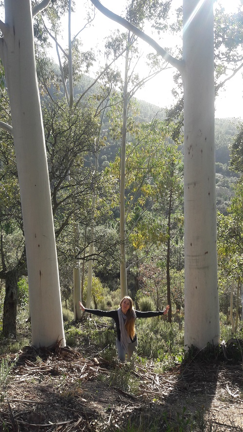 guide-shinrin-yoku-alpes-maritimes guide-shinrin-yoku-alpes-maritimes