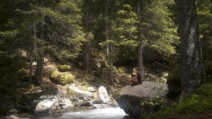bain-de-foret-boreon bain-de-foret-boreon