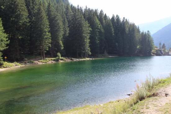 lac-boreon-sylvotherapie lac-boreon-sylvotherapie