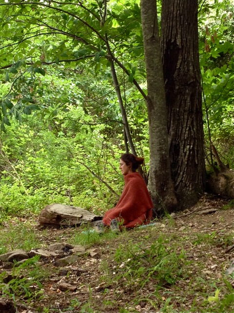 meditation foret solo spa thermal sylvothérapie